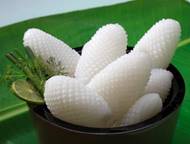 Mực nang cắt trái thông